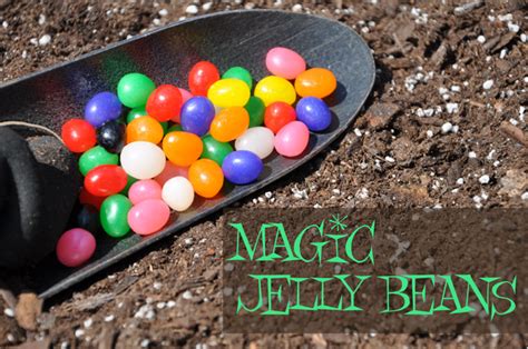Magic jelly bean